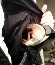 interior pocket