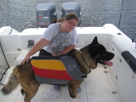 Fits my big Akita