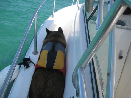 Kai walking around the boat...