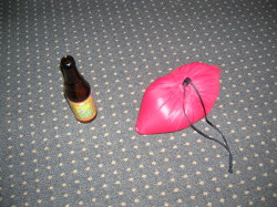 "Stuffed" Western Mountaineering Cloudrest Down Pillow 