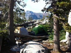 Nemo Losi in Desolation Wilderness