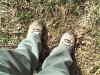 Merrell Chameleon Arc Ventilator Shoes in Tan/Lime