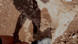 On sendy rocks