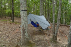 Grand Trunk UL Hammock