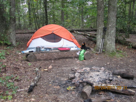 shanwnee state forest
