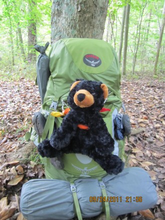 love my osprey pack!