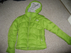 TNF Destiny Down Jacket