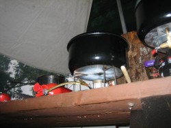 Dragonfly cooking dinner