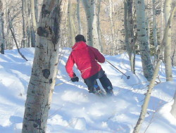 Skiing some glades inbounds