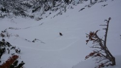 Stairs Gulch, Wasatch Range, UT