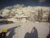 Poaching Alta