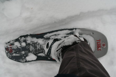 Tubbs in deep powder snow
