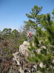 Lookout