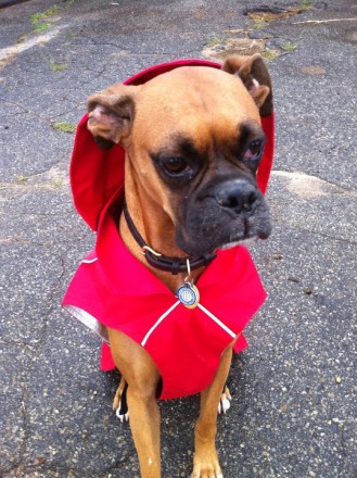Ruffwear Sun Shower