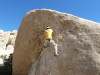 Joshua Tree