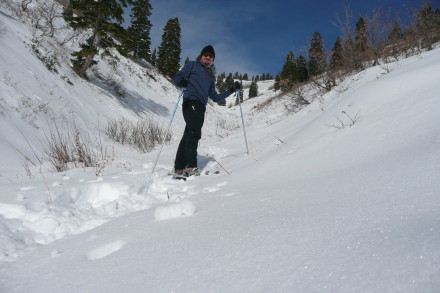 Alpine Guide Softshell Pant