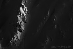 spine