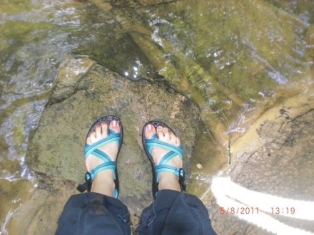 Bring on the water!
