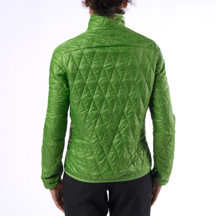 Fennel color on model (back)