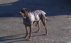 Ready for winter!