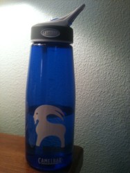 1L Bite valve Bottle