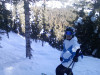 TJ in the trees at steamboat