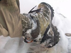 Not for the snow