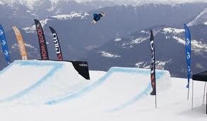 check the tech specs on the side. All mountian, freestyle should cover the type of riding you want to do.
