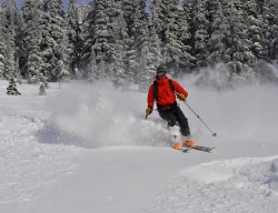 Shredding Some PNW Powder