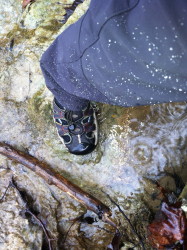 wet/cold