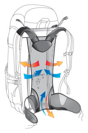 Illustration of back system