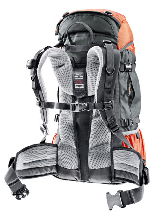 Back System