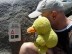 Angryduck