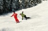 loves to carve