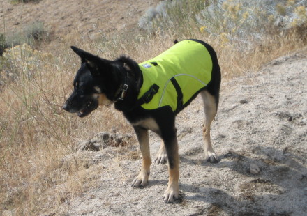 simple design and high visibility