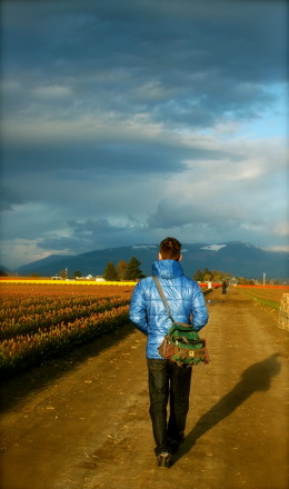 North of Seattle Spring