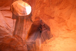 Neon Canyon
