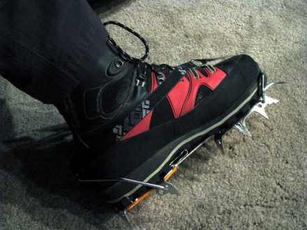 Sabretooth Pro on Mammut Mamook