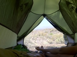 Sonoran Desert