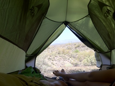 Sonoran Desert