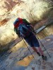 Perfect overnight bag for climbing/slot canyons in this case