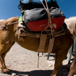 Welded Haul Duffel via mule