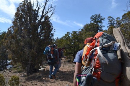 Backpacking In Little Dominguez Canyon, CO.