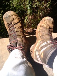 Trail to Chirripo,  Costa Rica's highest peak