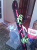 My DC PLY
