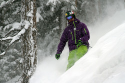 Steep Pow at Brighton