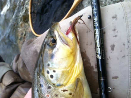 Platte River