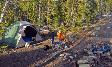 great tent easy set-up