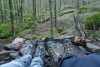 Appalachian Trail