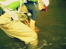 more fly fishing Minnesota
